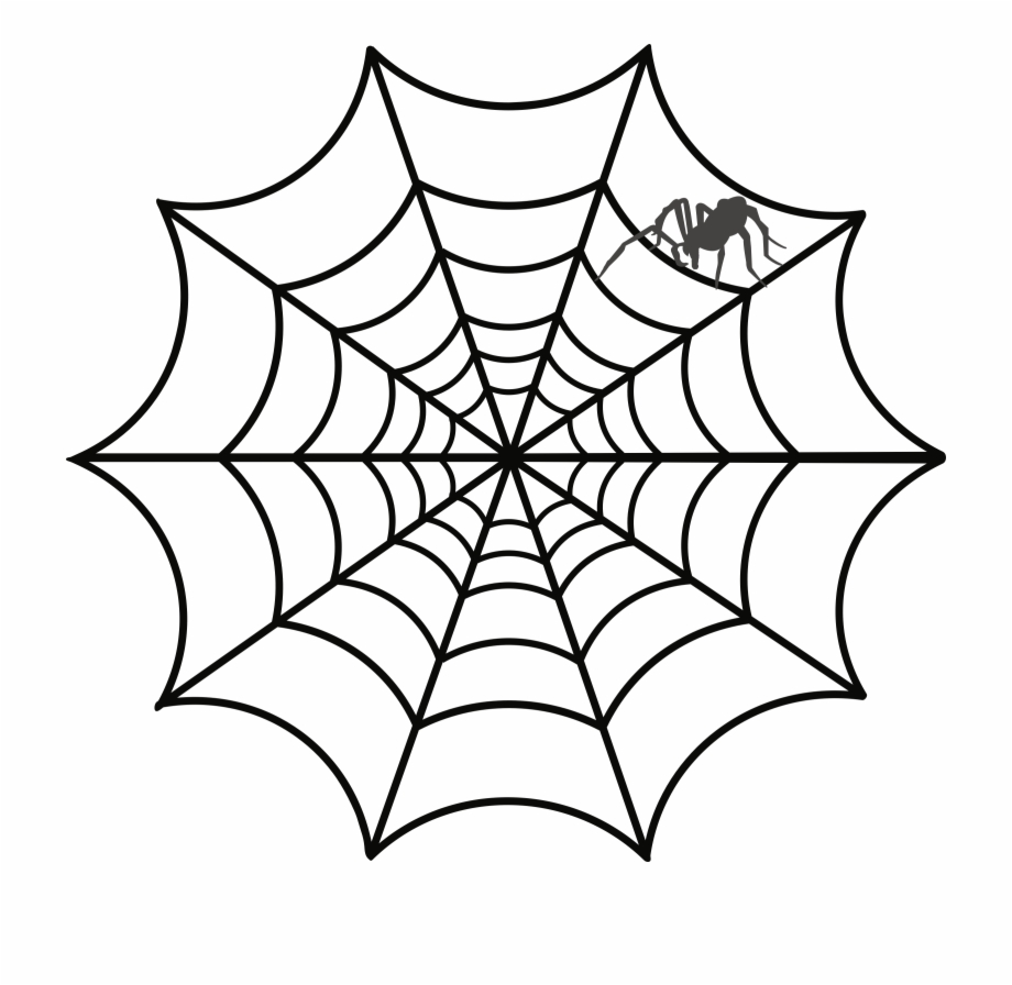 Spider Web Clipart Transparent Toile D Araigne Dessin