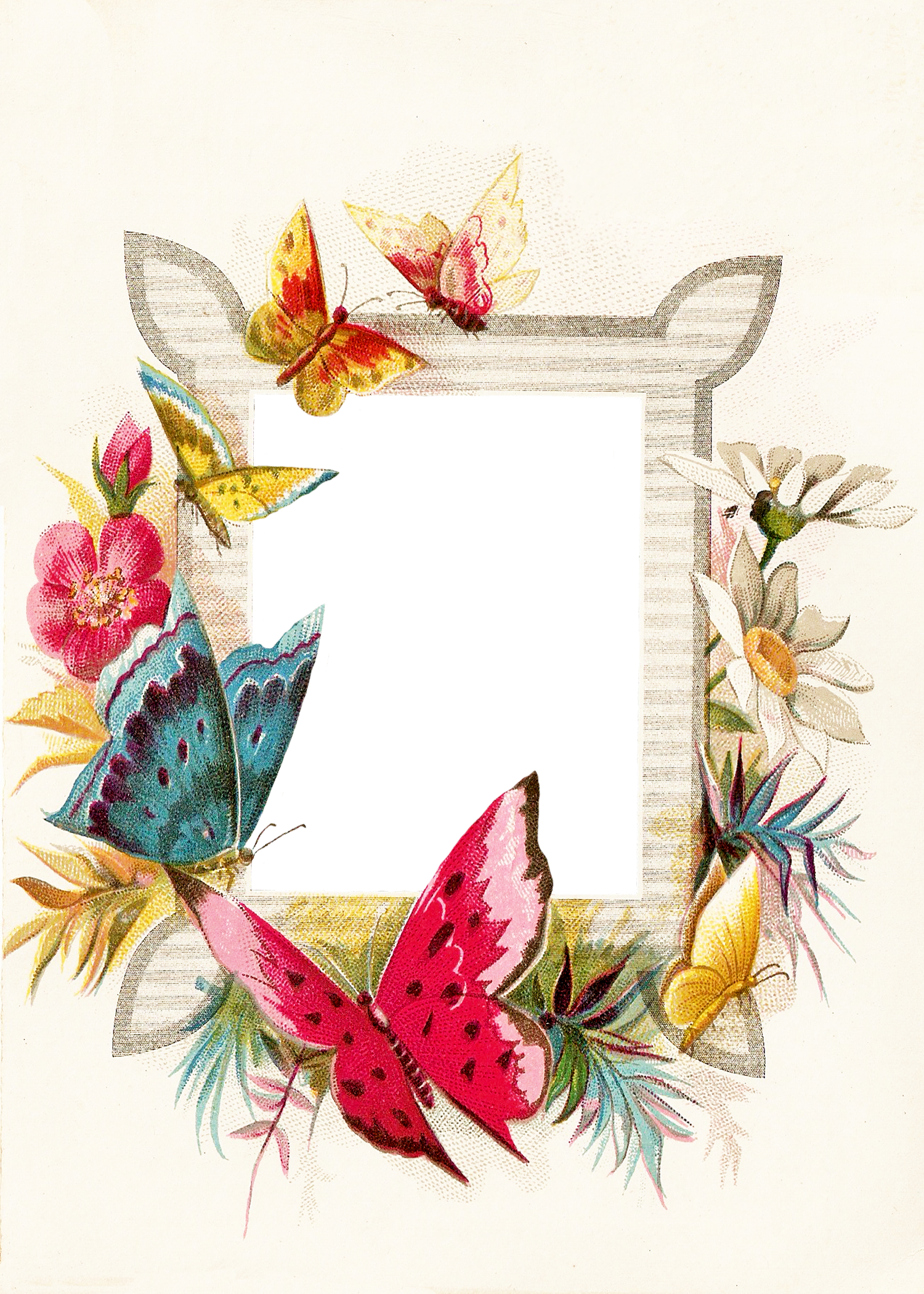 Frame Butterflies N Flowers Free Printable Butterfly Frames