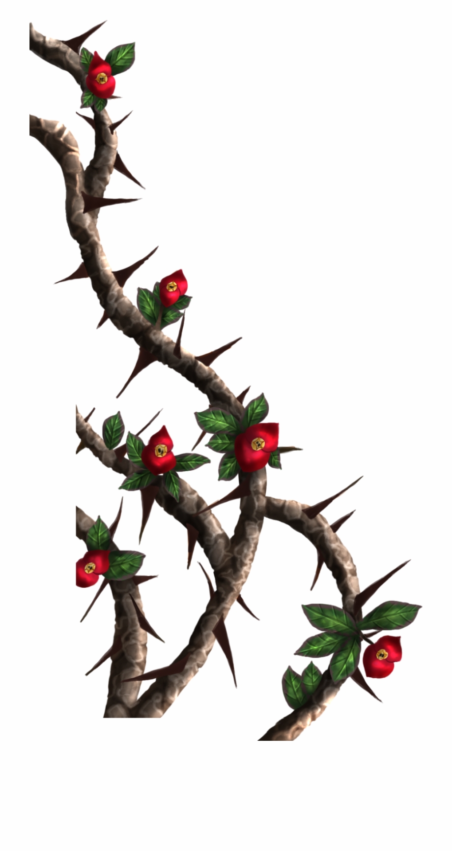 Thorn Vine Png Rose Thorns Png