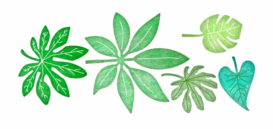 Die Tropical Leaves Png Download Illustration