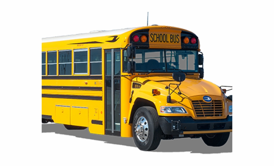 School Bus Bluebird