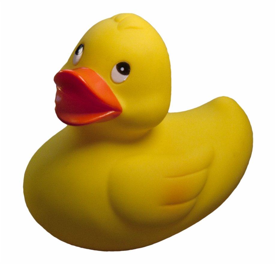 Rubber Duck Png Rubber Ducky Transparent Background