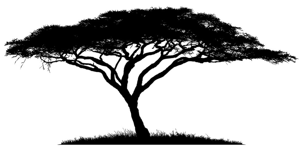 African Tree Png