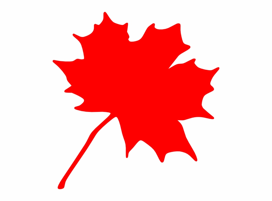 Canada Flag Clipart Leaf Canadian Maple Leaf Clip