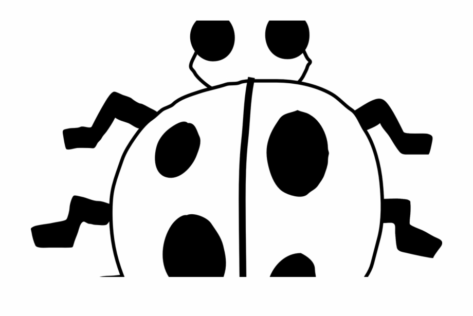 bug clipart black and white png
