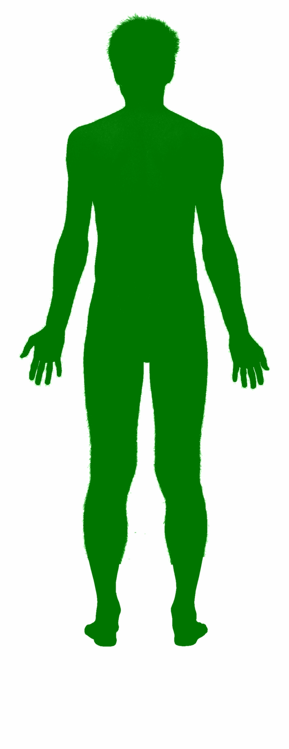 Green Man Shadow Human Body Outline Png