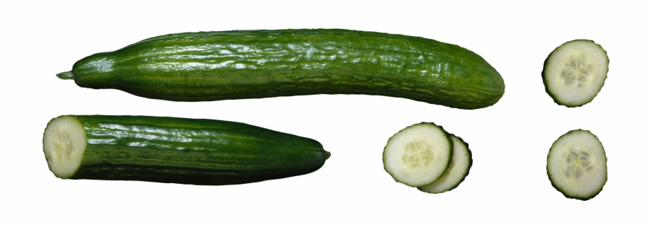 Cucumber Type Of Cucumber