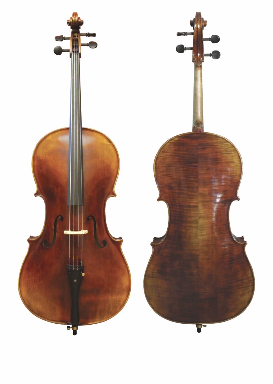 Cello Front And Back