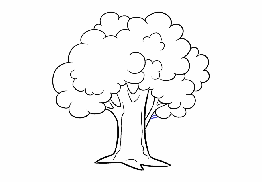 Drawing Tree Line Line Drawing Of Tree - Clip Art Library