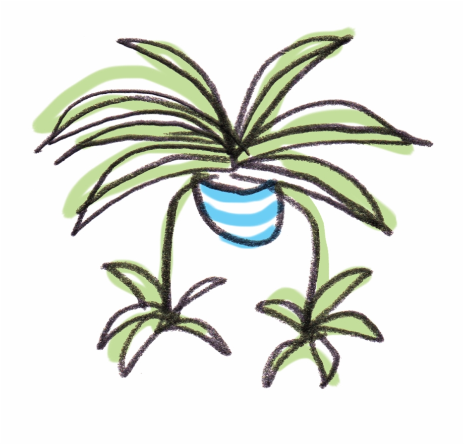 Welcome To Spiderplant Houseplant Shop Spider Plant Cartoon