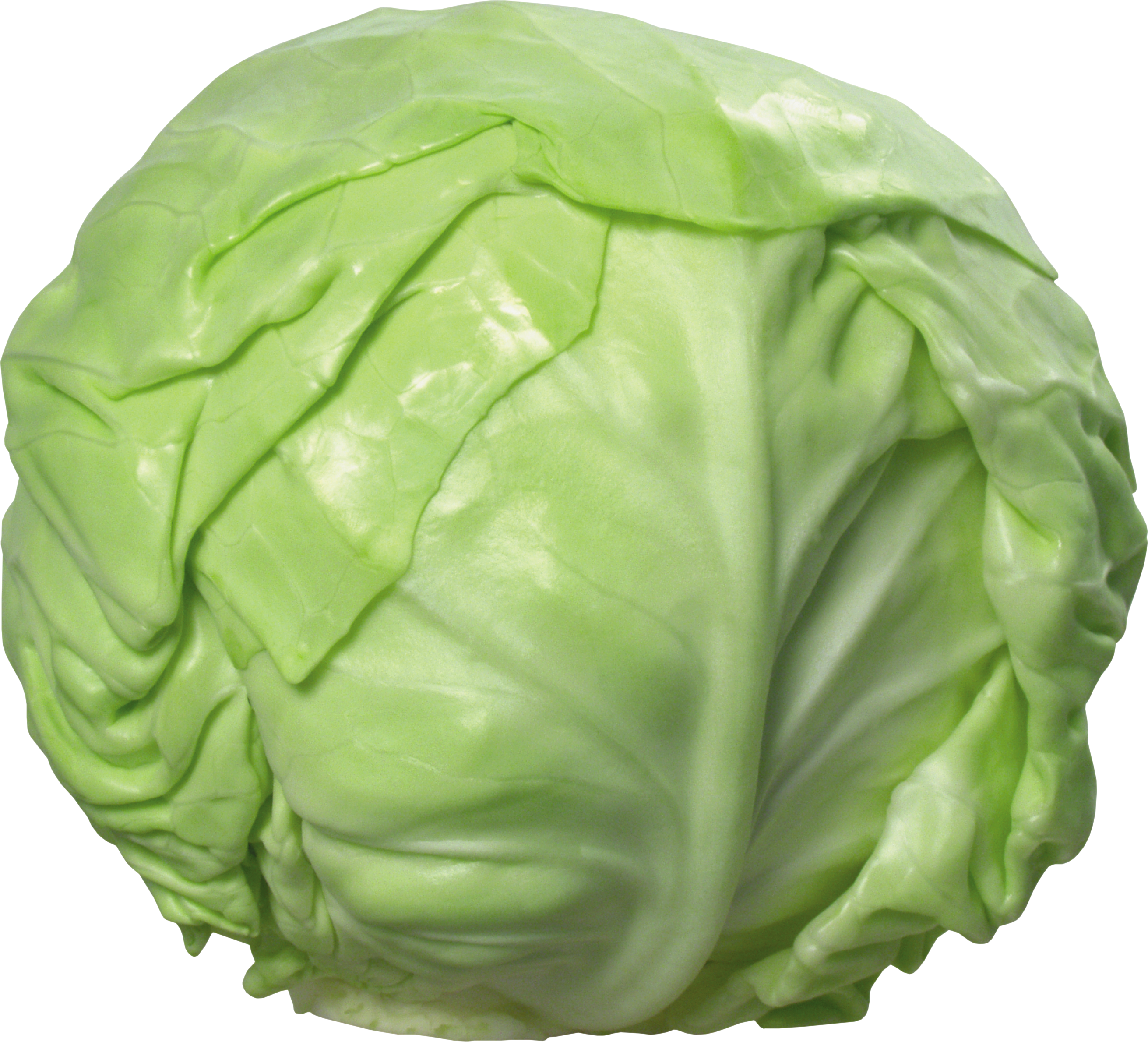 Cabbage Png