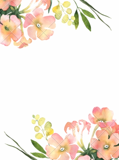 Png Flower Images With Transparent Background
