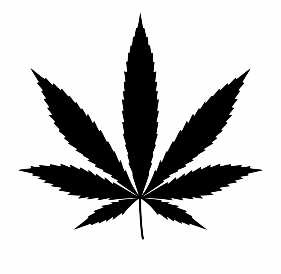 Png File Svg Weed Icon