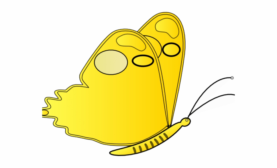 Yellow Butterfly Clipart Png