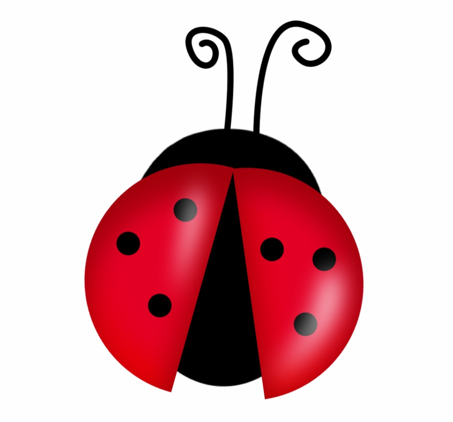 Flying Ladybug Png Ladybug Clipart