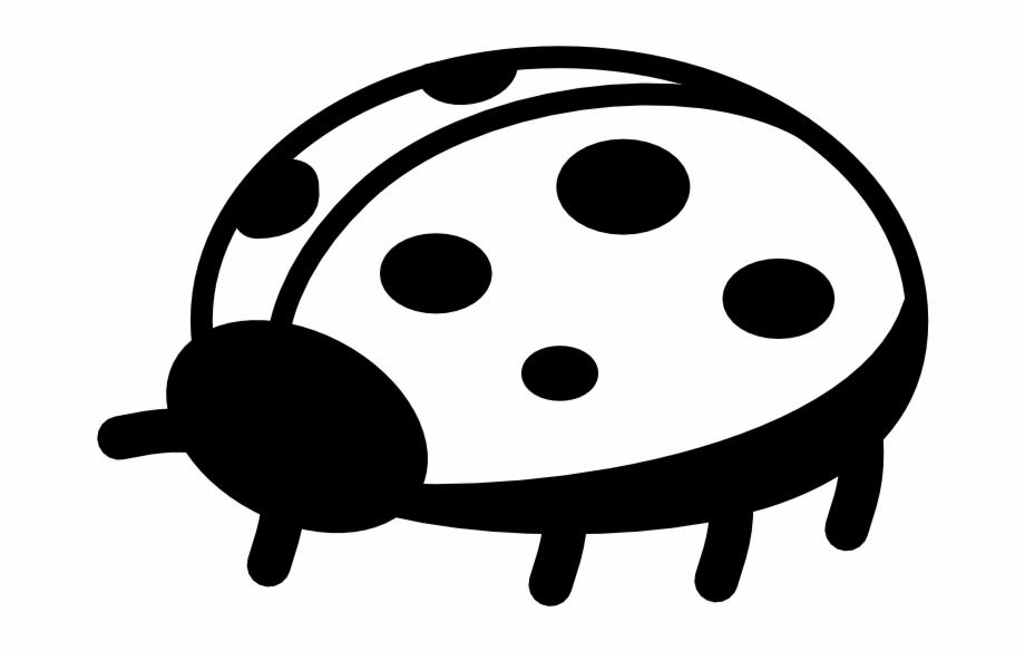 Drawing Ladybug Small Ladybug Clip Art