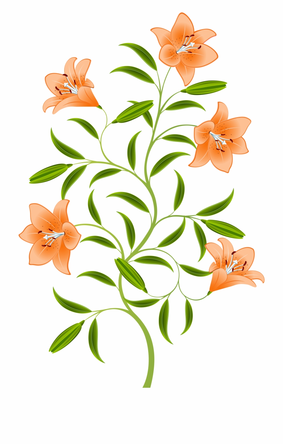 free lily png download free clip art free clip art on clipart library clipart library