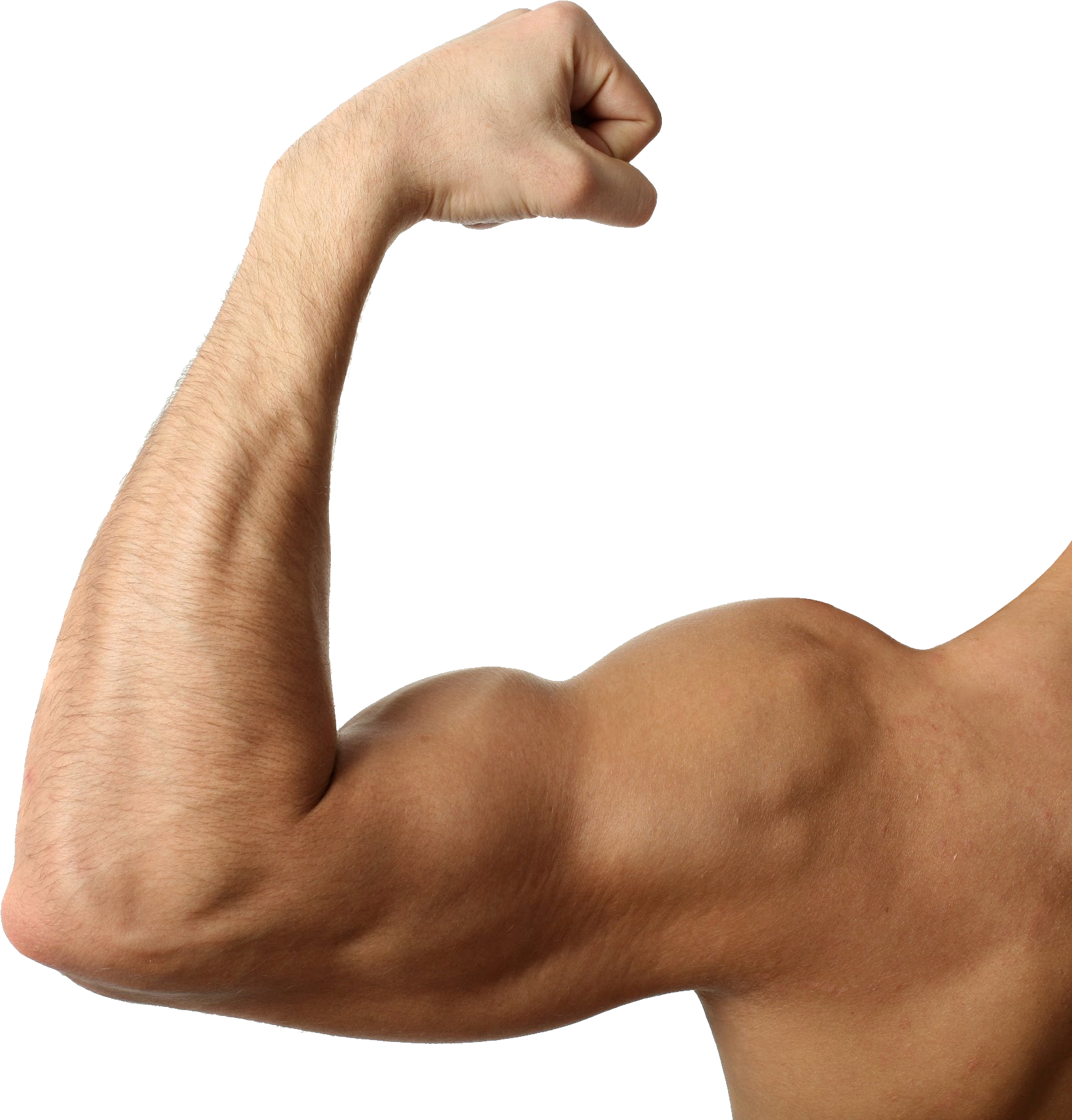 Muscular Arm Png