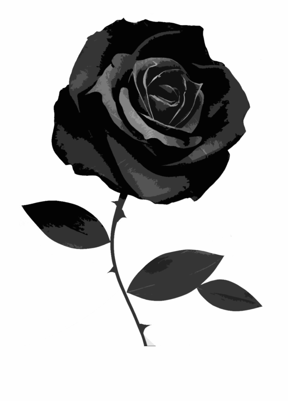 Free Black And White Flowers Wallpaper, Download Free Black And White  Flowers Wallpaper png images, Free ClipArts on Clipart Library