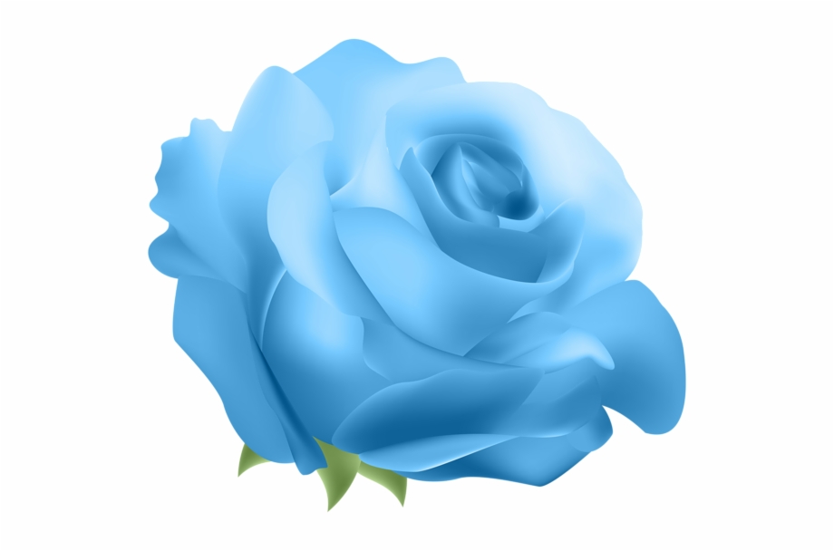 blue flower transparent background
