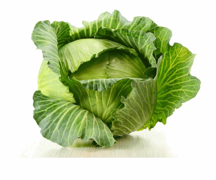 Cabbage Png Image Bandha Kobi