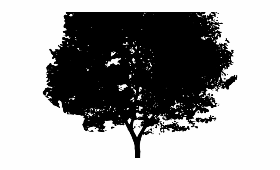 tree silhouette png
