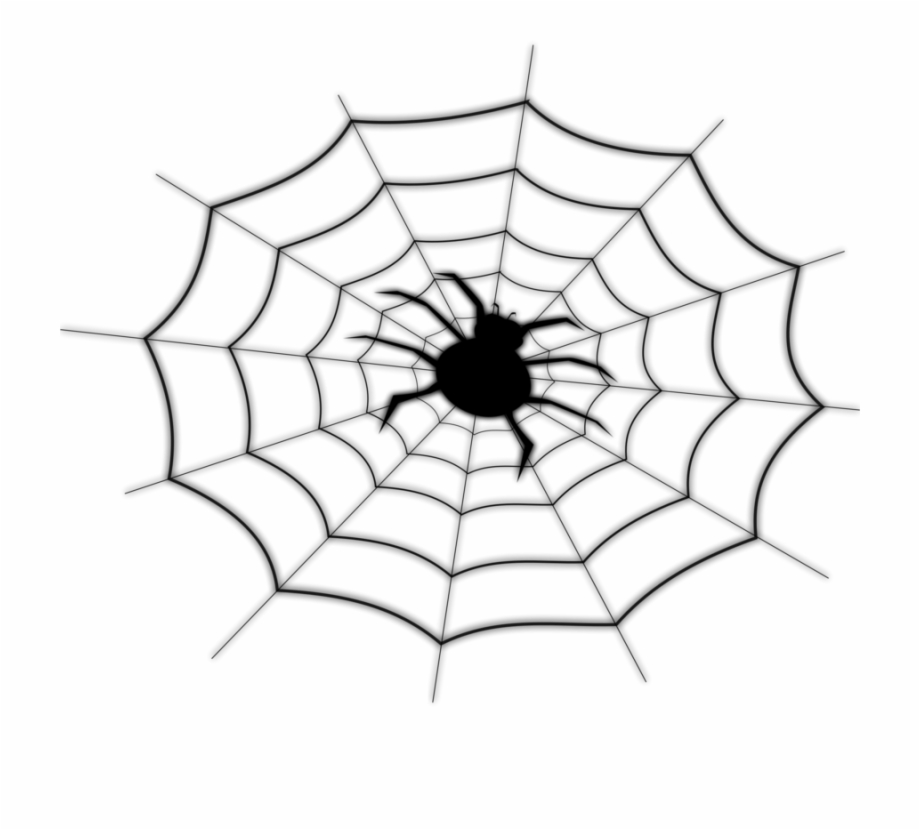 Spider Web Spider Man Drawing Line Art Spiderman