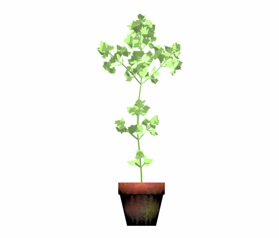 A Plant Growing Flowerpot