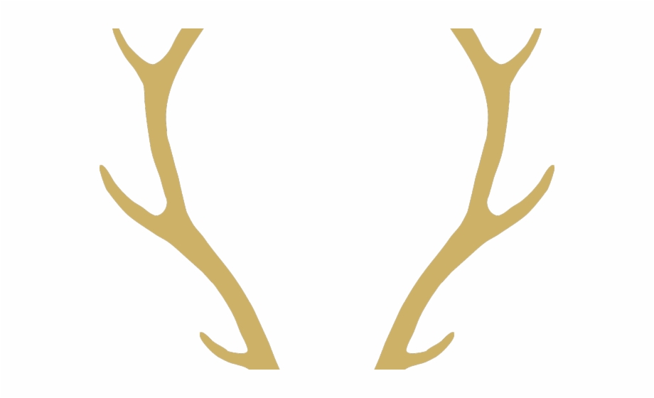 transparent antlers clip art
