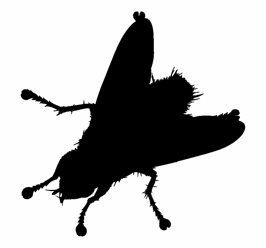 Input House Fly Silhouette