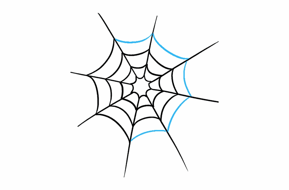 Cobwebs Transparent Realistic Spider With Web Drawing