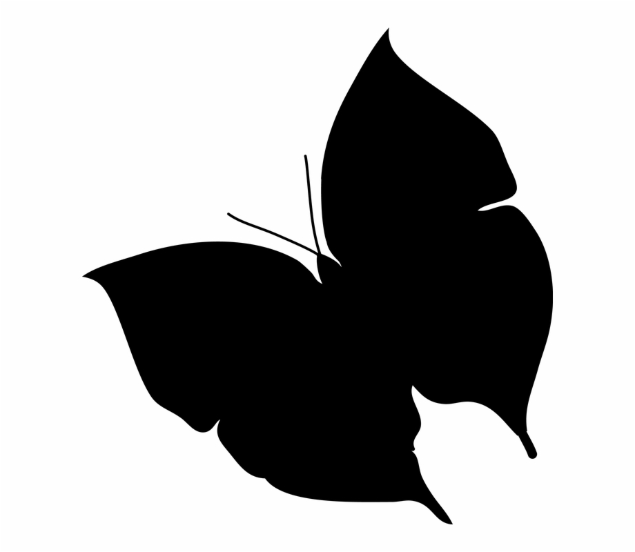 Butterfly Silhouette Nature Decorative Black Shape