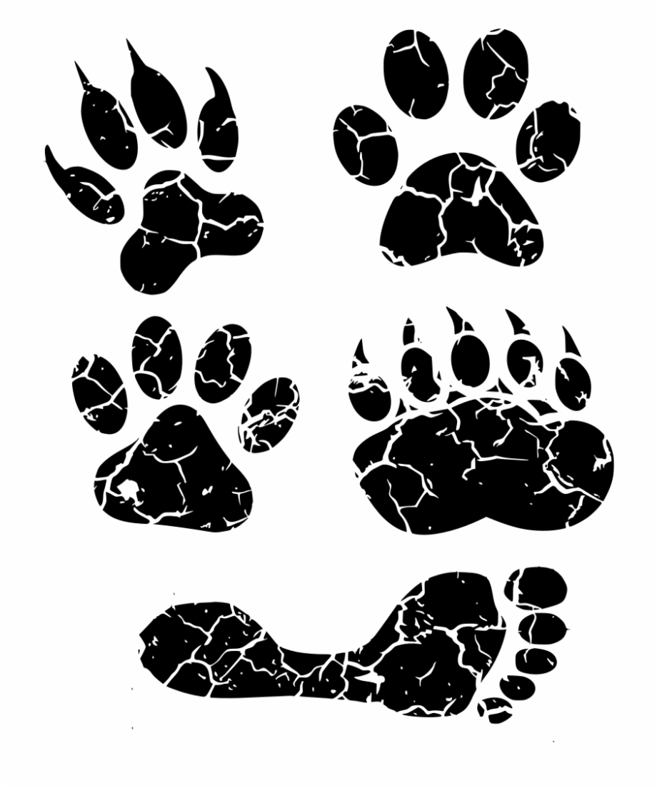 Download Png Paw