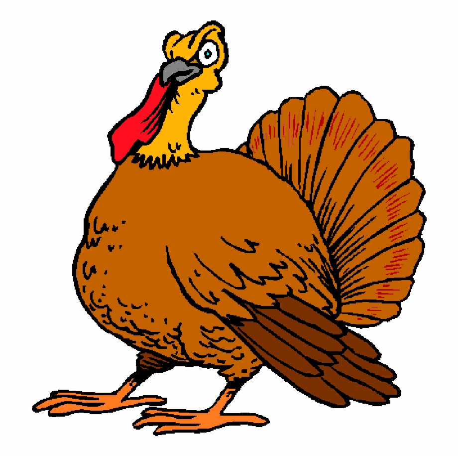 Thanksgiving Turkey Thanksgiving Themed