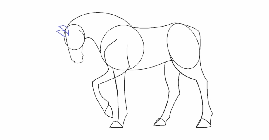 Drawn Horse Face Side Drawing Horse