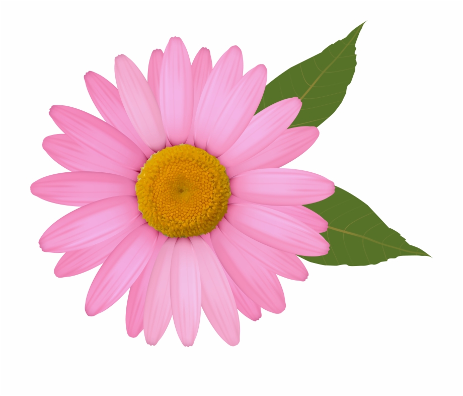 Clip Arts Related To Pink Daisy Flower Clipart