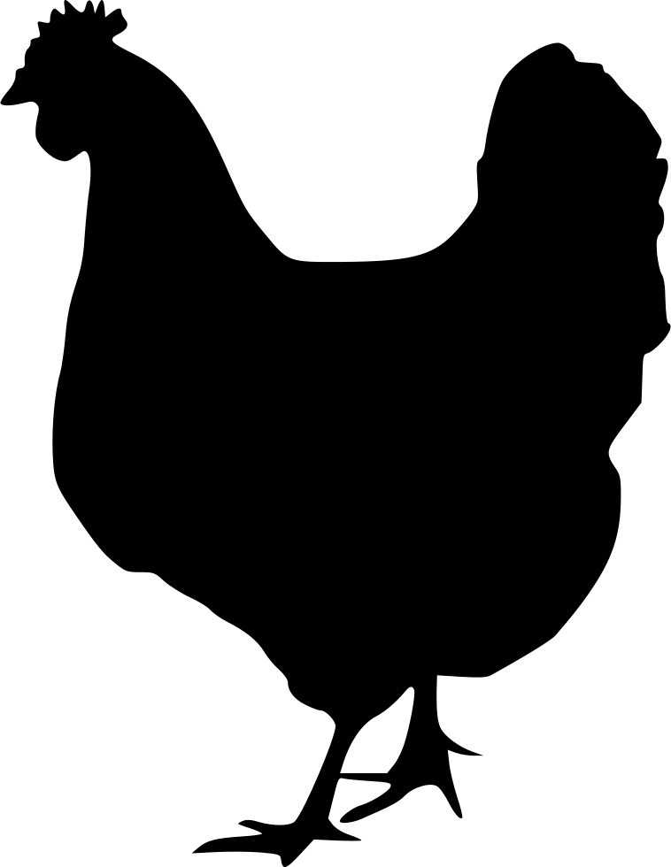 Chicken Rooster Silhouette Poultry Png Image With Free
