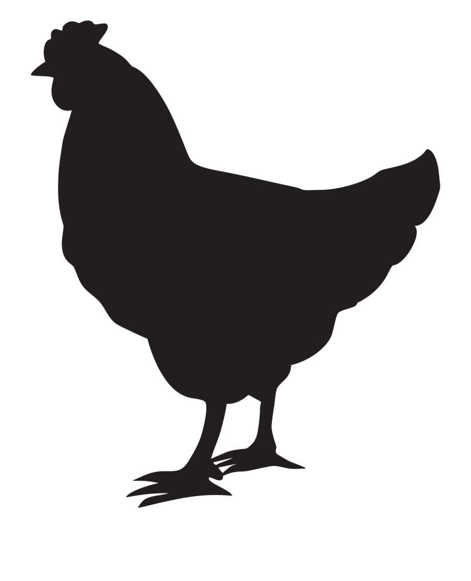 chicken silhouette
