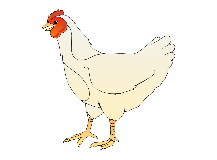 Cool Rooster Chicken Clipart