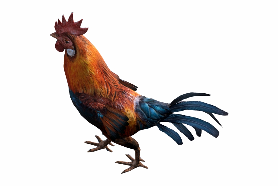 Rooster Png Transparent Background Rooster