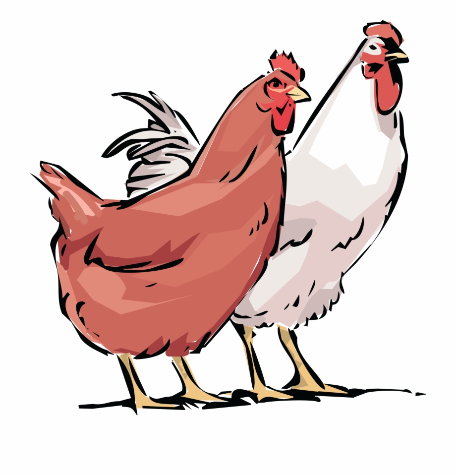 Clip Art Library Stock Free Rooster Clipart Hens