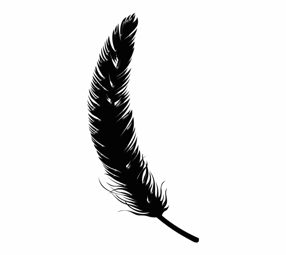 Black Feathers 800 X Illustration