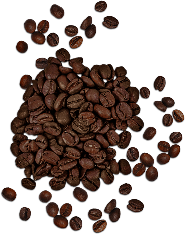 Coffee Beans Coffee Beans Top View Png