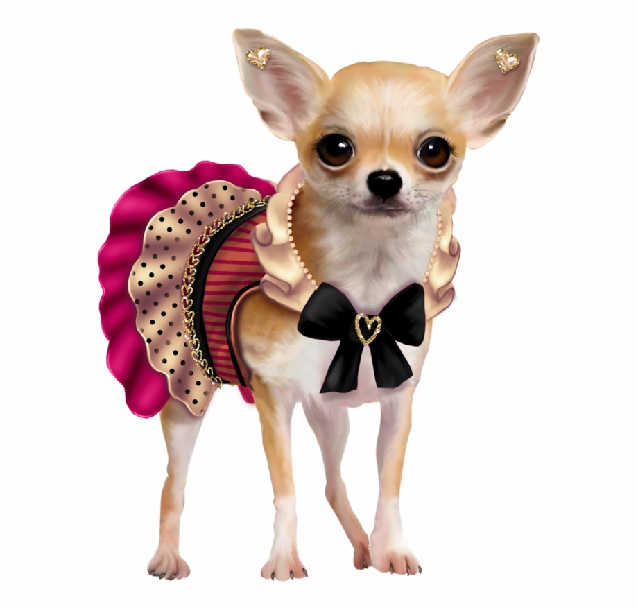 Clip Arts Related To : Dogs Chihuahua. view all Chihuahua Png). 