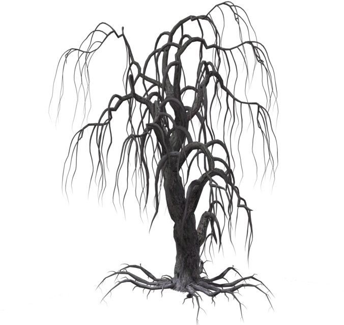Creepy Tree 16 By Wolverine041269 On Clipart Library
