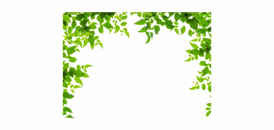 And Leaf Leaves Green Frames Borders Border Clipart