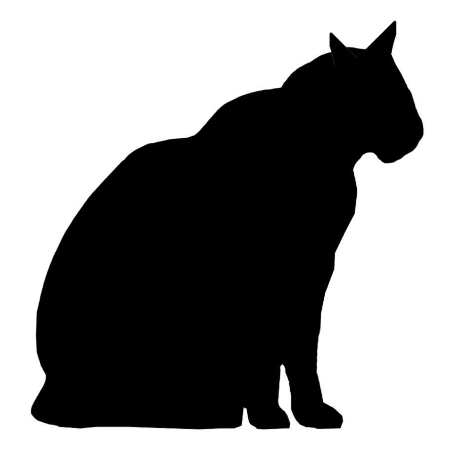 Cat Silhouette Sitting Male Cat Silhouette
