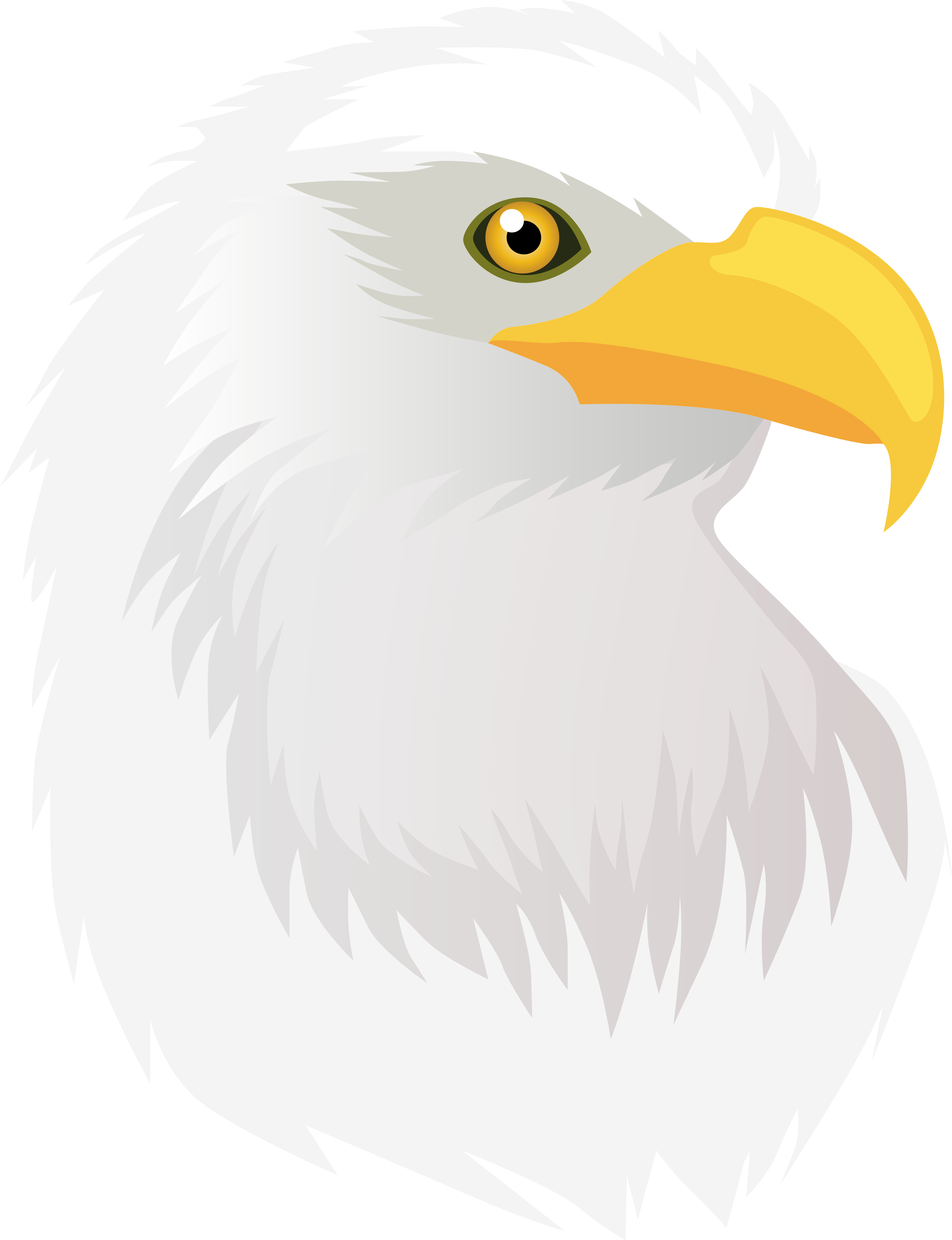 Eagle Head Transparent Png Clip Art Image