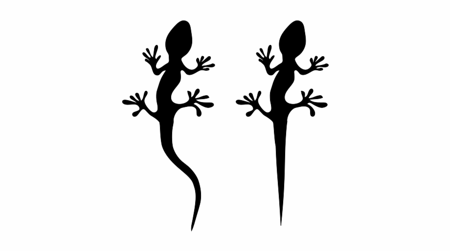 Clipart Black And White Lizards