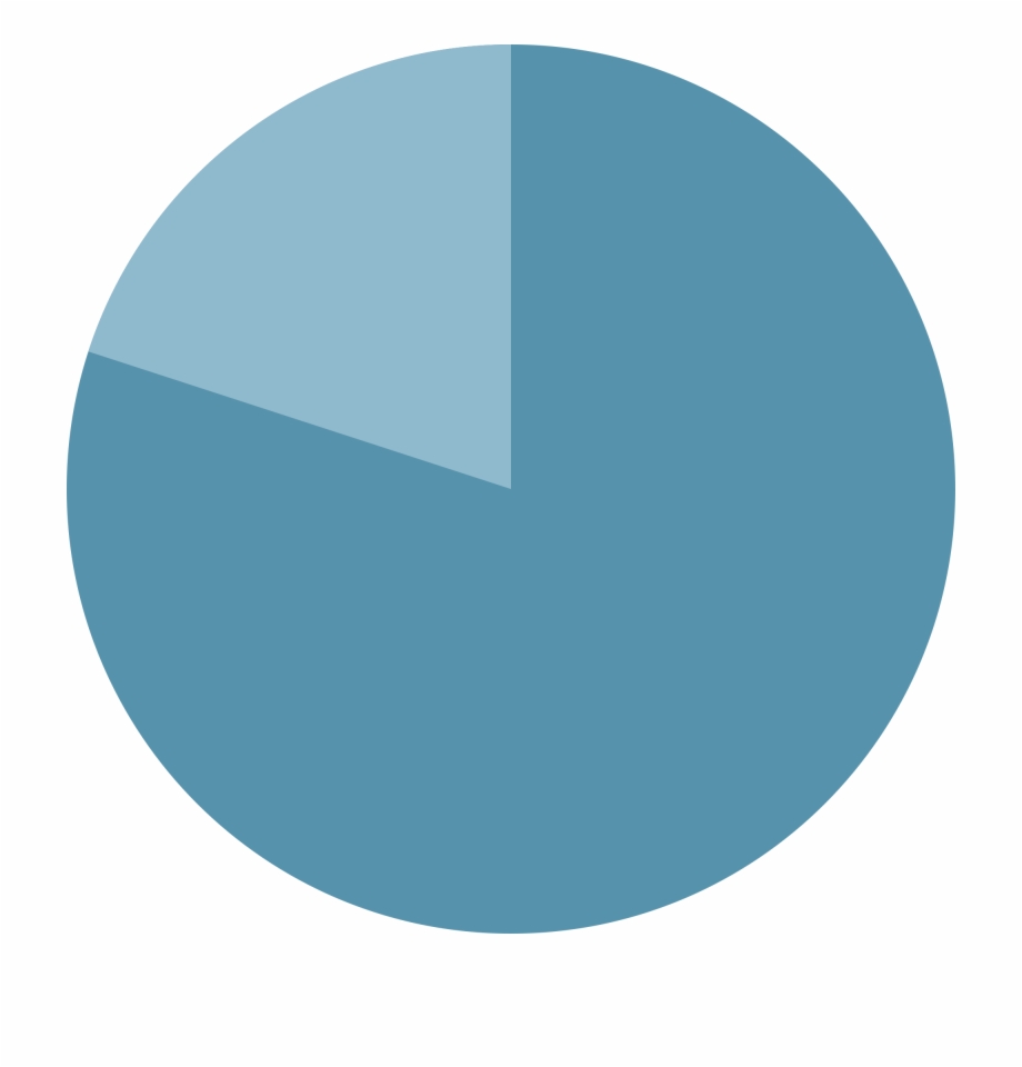 80 Pie Chart 80 Pie Chart Png Clip Art Library